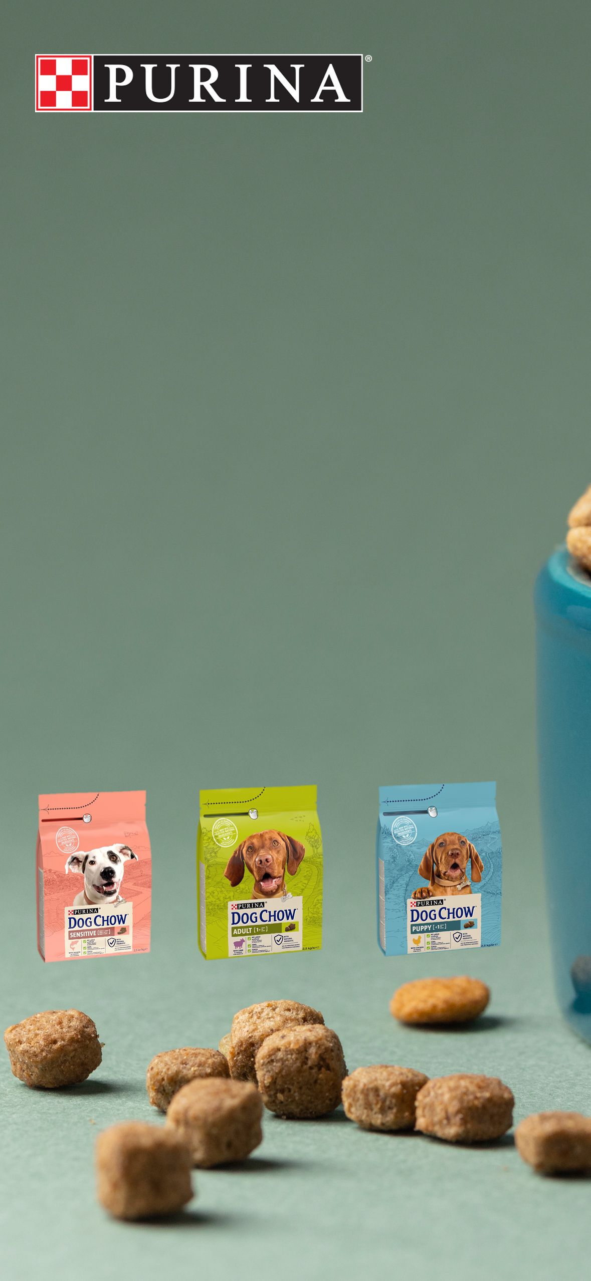 Purina - Dog Chow