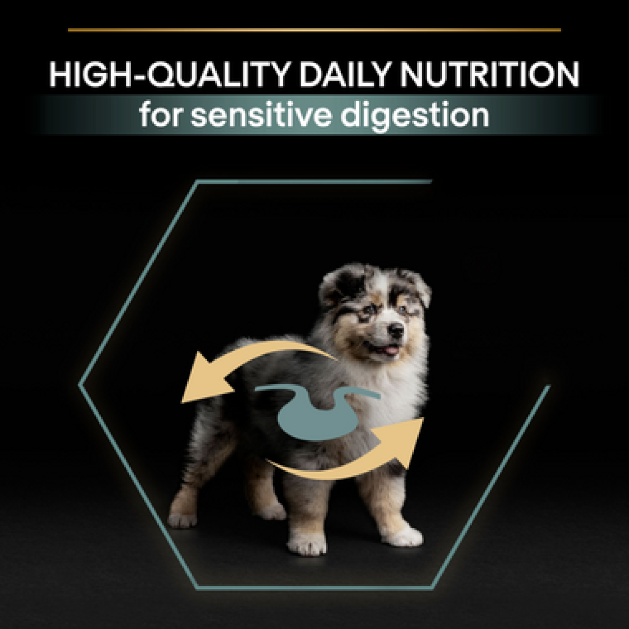 PRO PLAN Sensitive Digestion MEDIUM PUPPY – janjetina