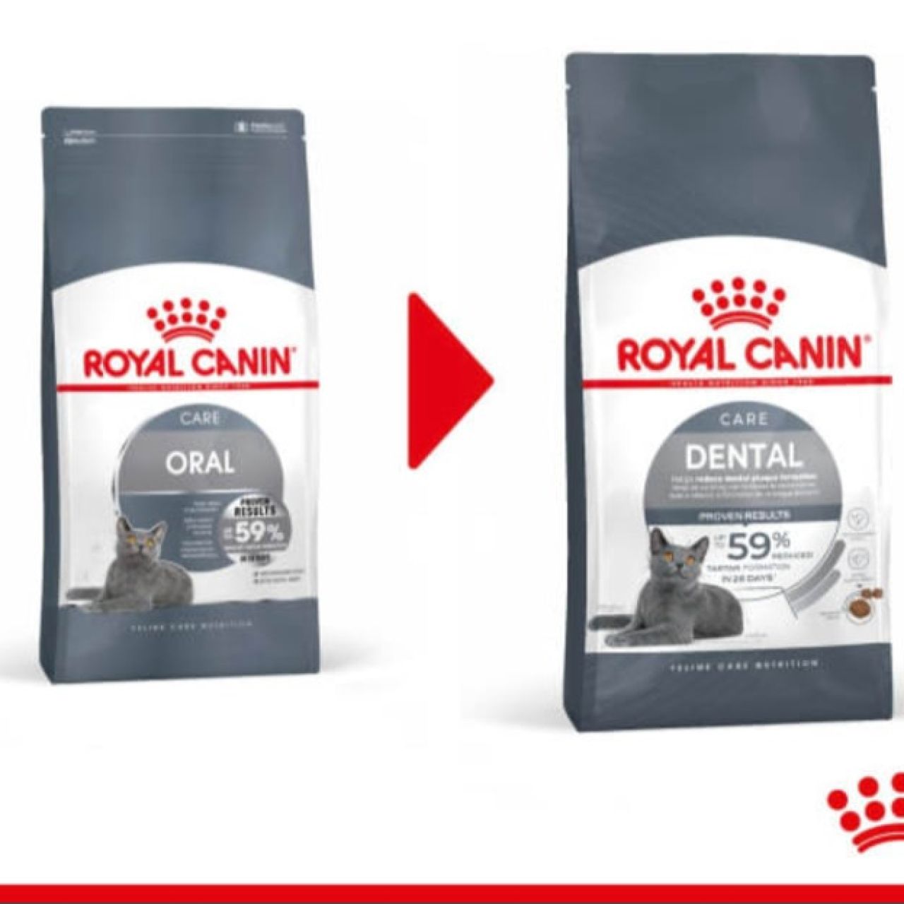 Royal Canin Cat DENTAL Care