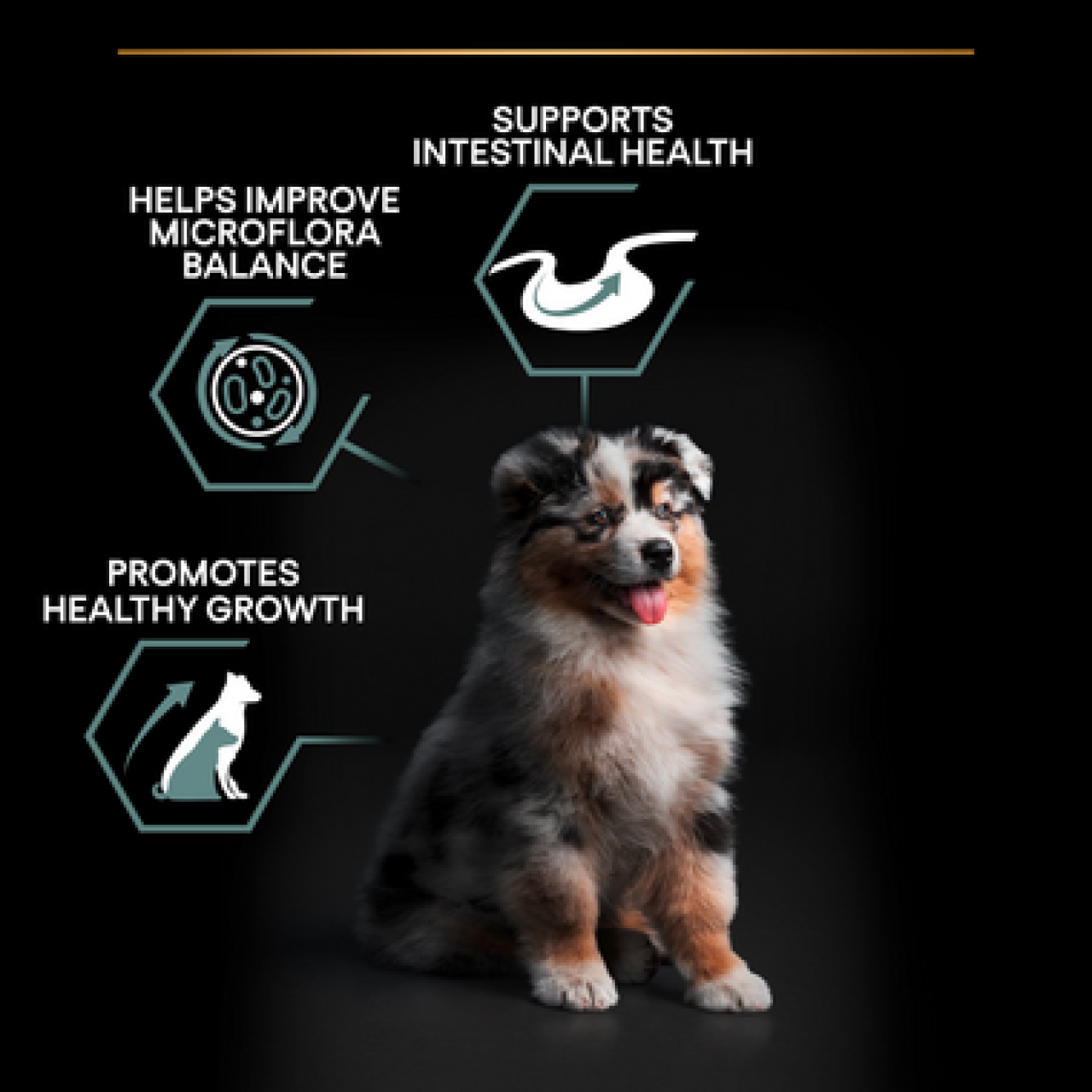 PRO PLAN Sensitive Digestion MEDIUM PUPPY – janjetina