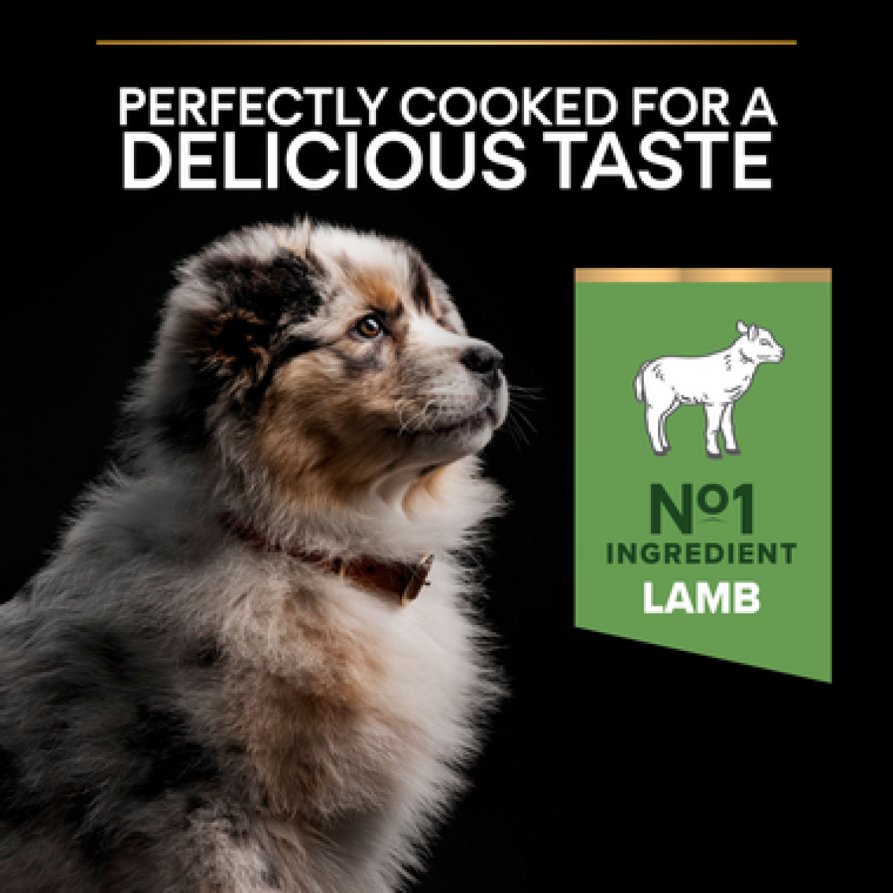 PRO PLAN Sensitive Digestion MEDIUM PUPPY – janjetina