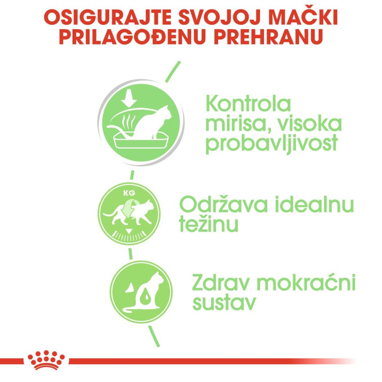 Royal Canin Cat DIGESTIVE CARE - tanki komadići u umaku 85g