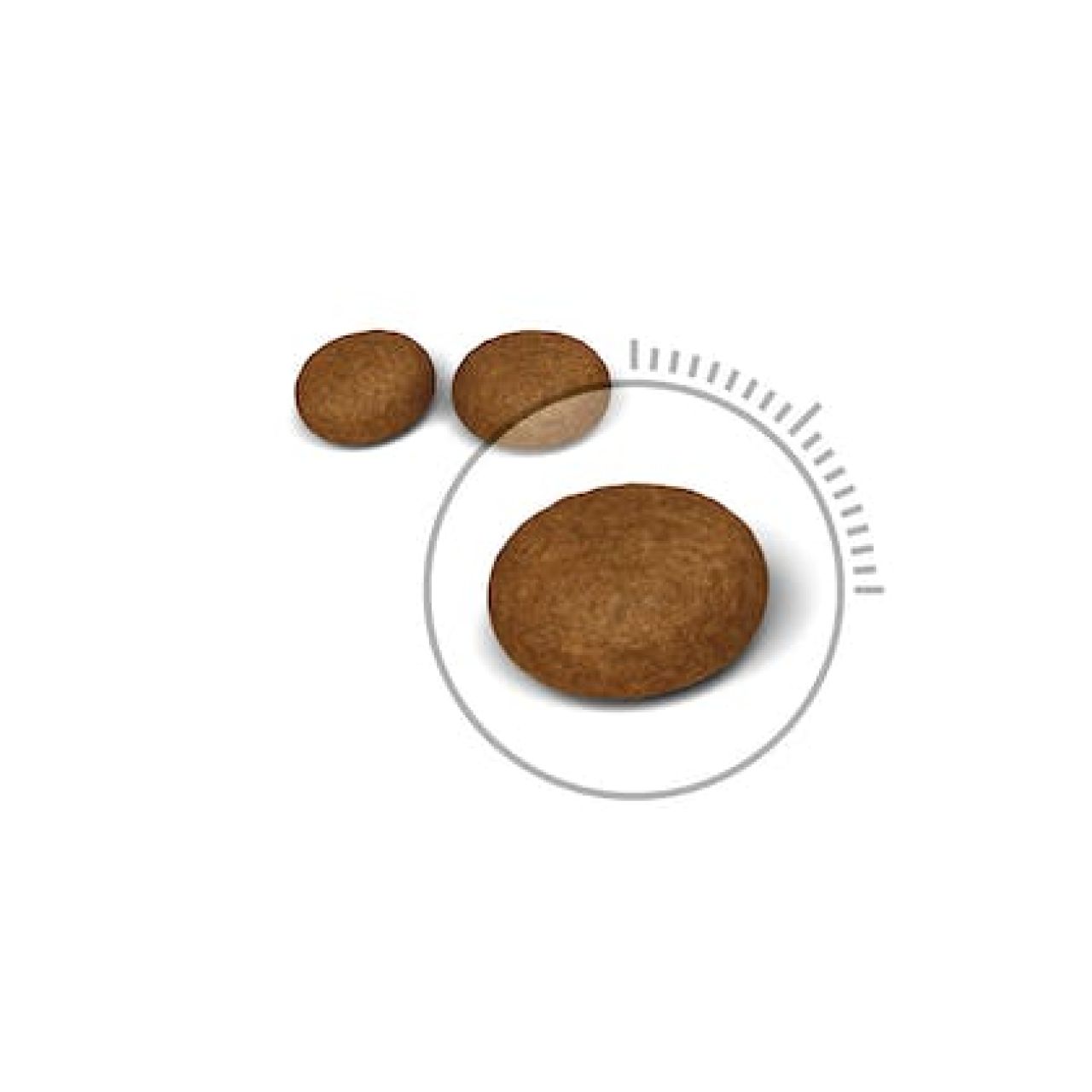 Royal Canin Cat HAIR & SKIN Care