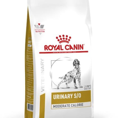 ROYAL CANIN Urinary S/O 2kg