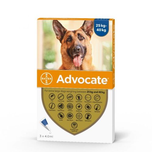 Advocate DOG od 25-40kg