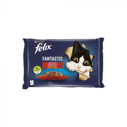 FELIX Fantastic Junior mokra hrana za mačke s piletinom i lososom u želeu 4x85g