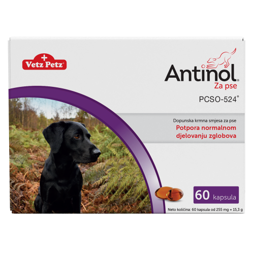 Antinol 60 kapsula